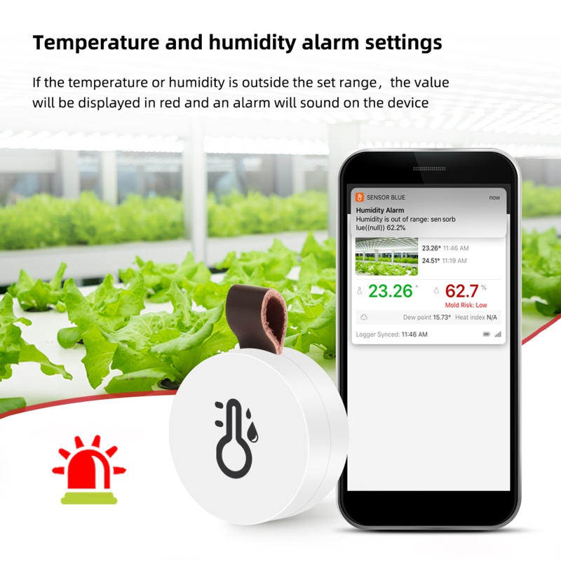 Máy Đo Độ Ẩm Không Dây Mini BT Trong Nhà