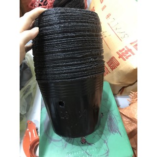 40 túi bầu ươm cây 0,5kg mã 23*18