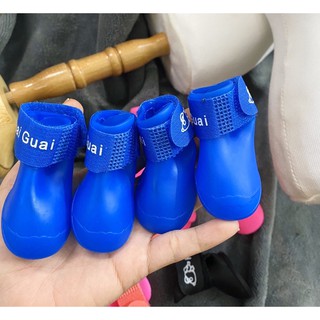 giày thú cưng đi mưa nắng