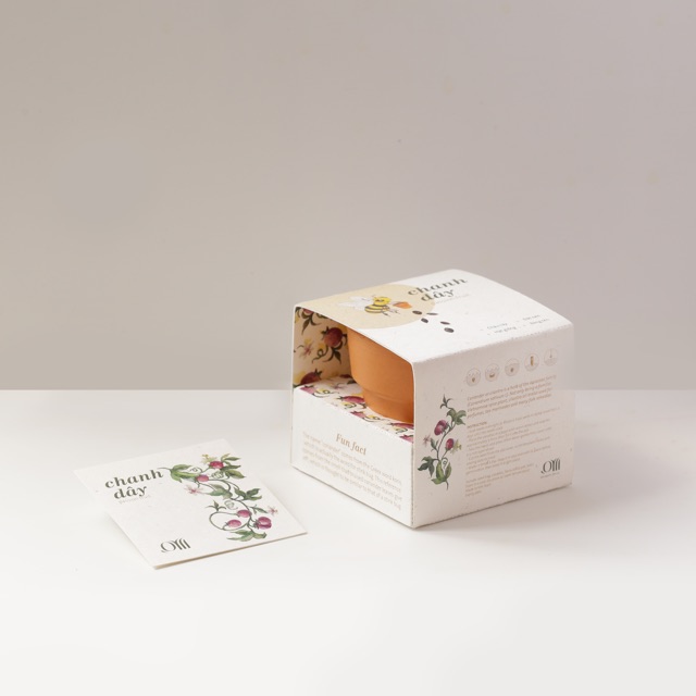 Kit Trồng Cây Mini - Chanh Dây | Plant Kit - Passion Fruit