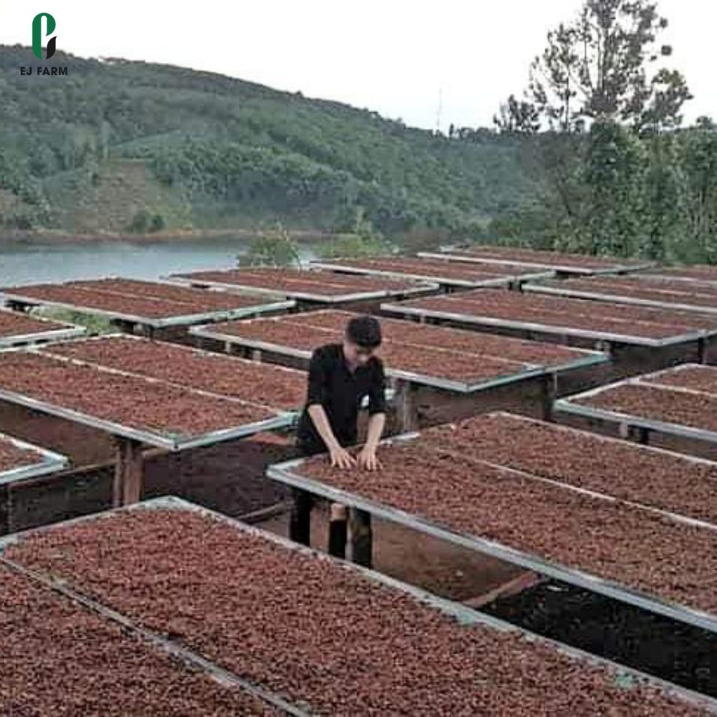 Cà phê nguyên chất rang mộc Robusta ENJOY COFFEE (500g) | BigBuy360 - bigbuy360.vn