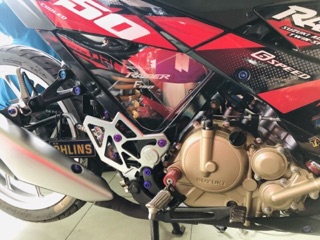 Mika che sườn Raider Fi / Satria Fi