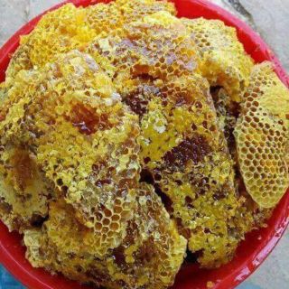 Mật ong rừng nguyên sáp 1kg
