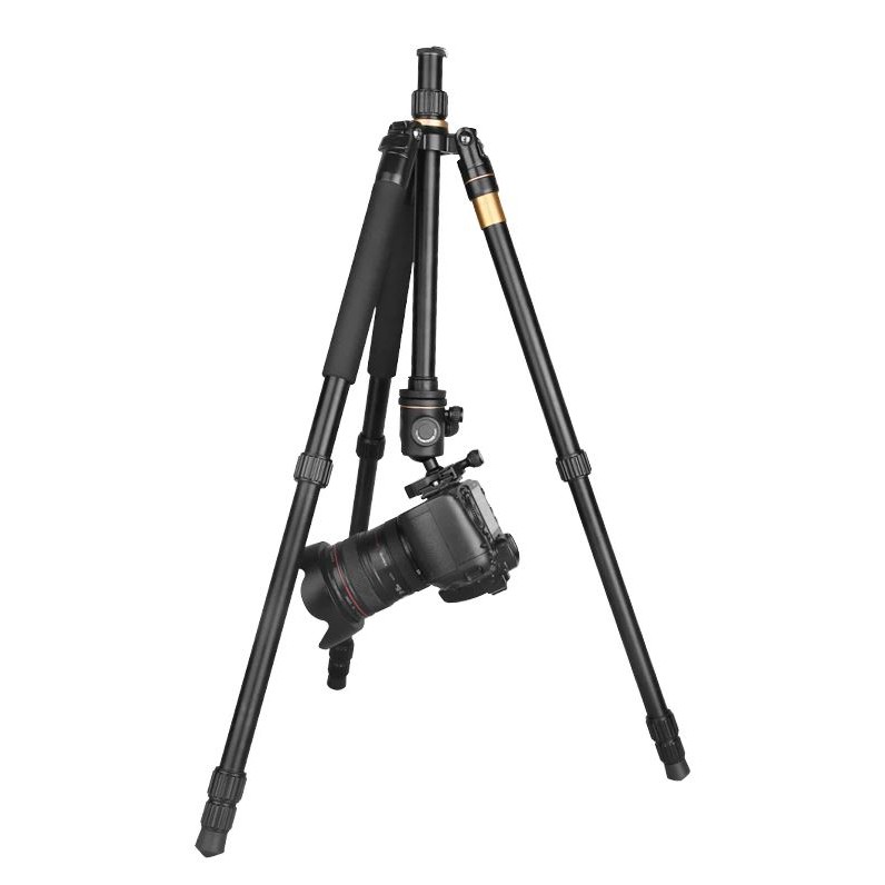 Chân máy ảnh Tripod Beike Q222