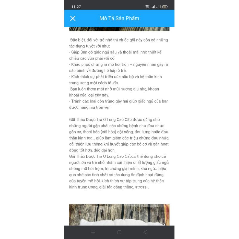 (Sale) Gối trà Ô Long cho trẻ hàng Niêm công ty