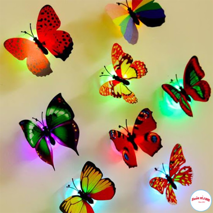 Mô Hình Bươm Bướm Tích Hợp Đèn LED Trang Trí Không Gian Độc Đáo Hot hit - br00597 | BigBuy360 - bigbuy360.vn
