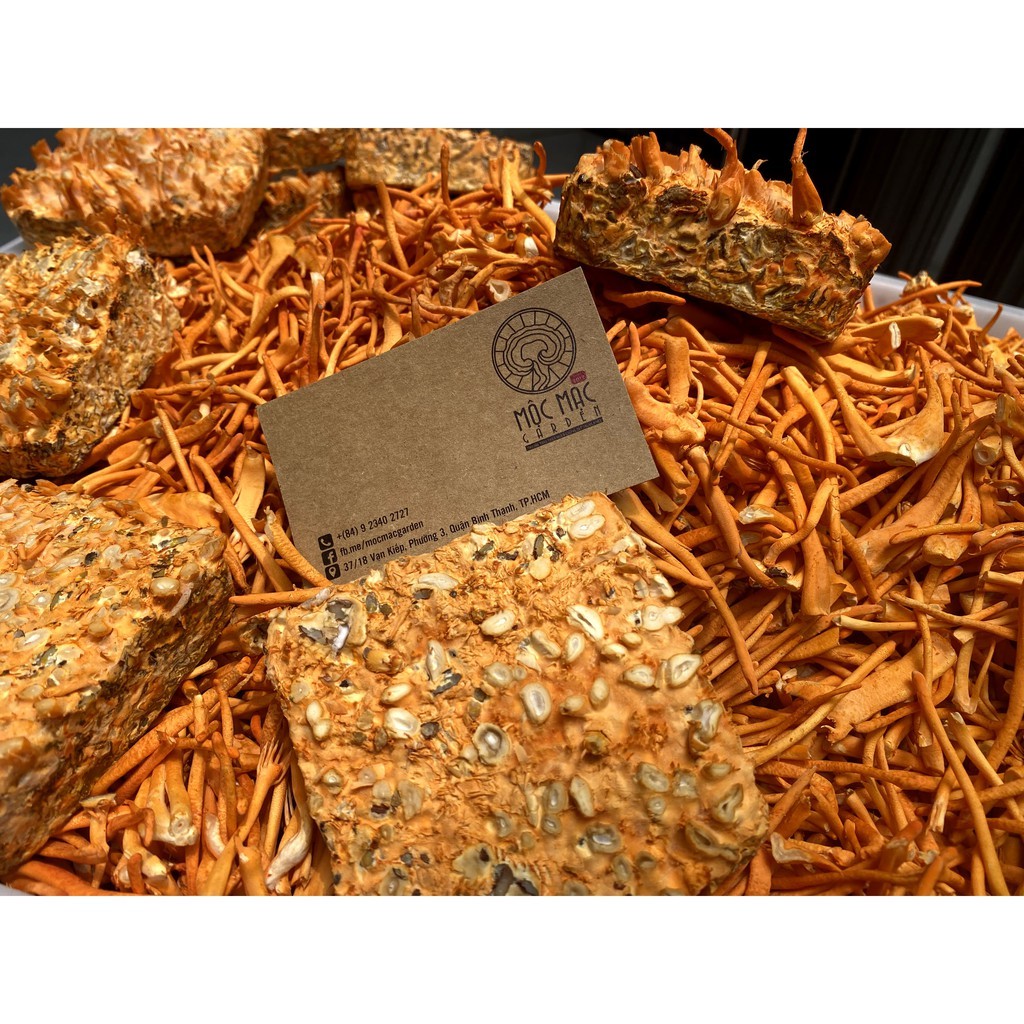 (500gr) Đế Đông Trùng Hạ Thảo MMG Thái Lát | BigBuy360 - bigbuy360.vn