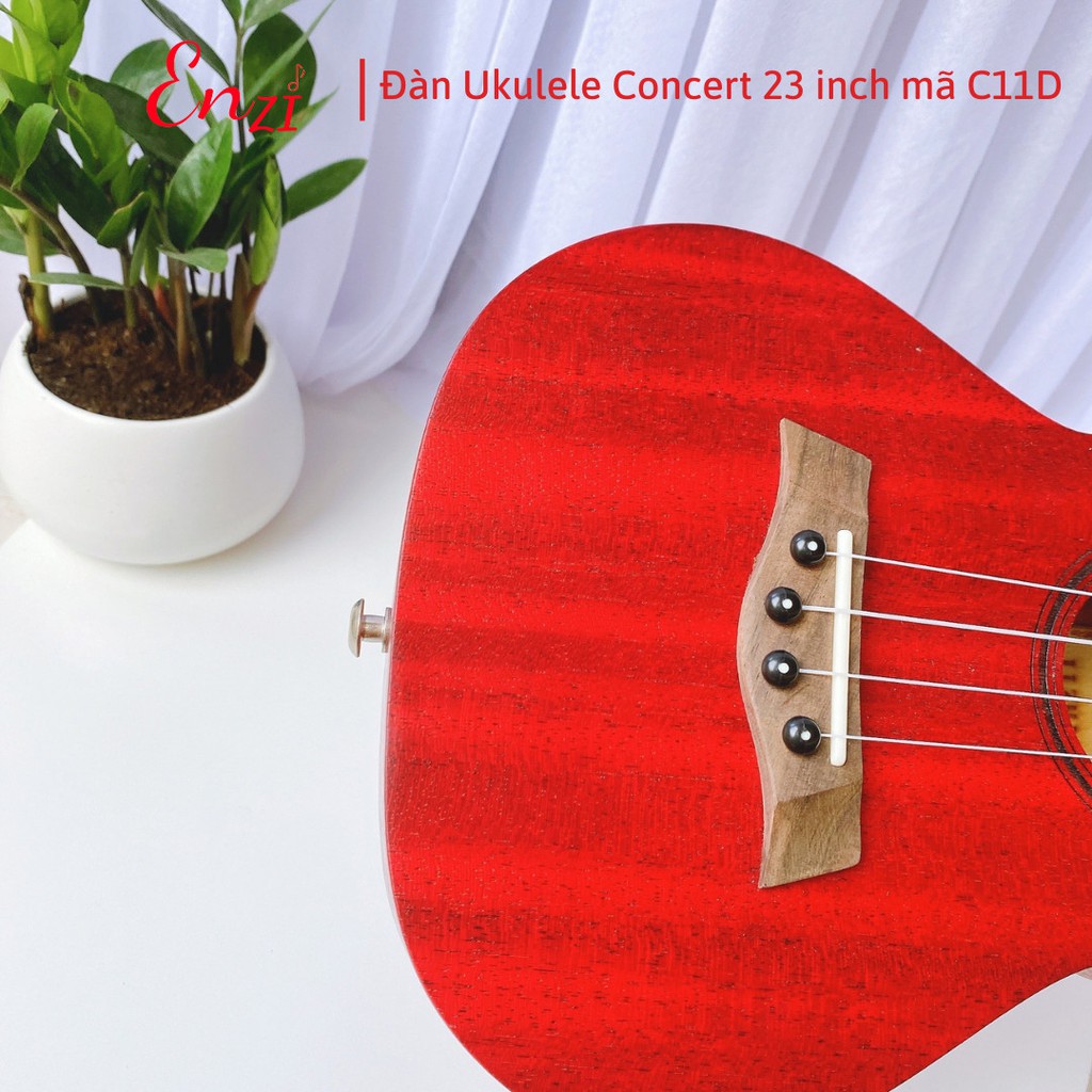 Đàn ukulele concert Enzi C11D màu gỗ phong cách cổ điển, âm thanh vang sáng giá rẻ chất lượng