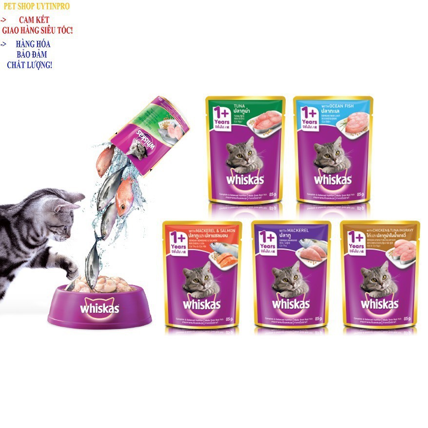 PATE XỐT CHO MÈO CON Whiskas Vị cá thu With Mackerel Gói 80g Bổ sung dinh dưỡng Xuất xứ Thái Lan