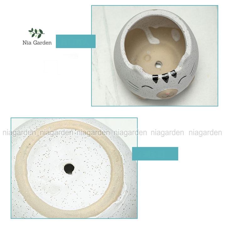 Chậu để bàn mèo trồng sen đá mini xương rồng cây cảnh trang trí góc họp tập làm việc Nia Garden N4