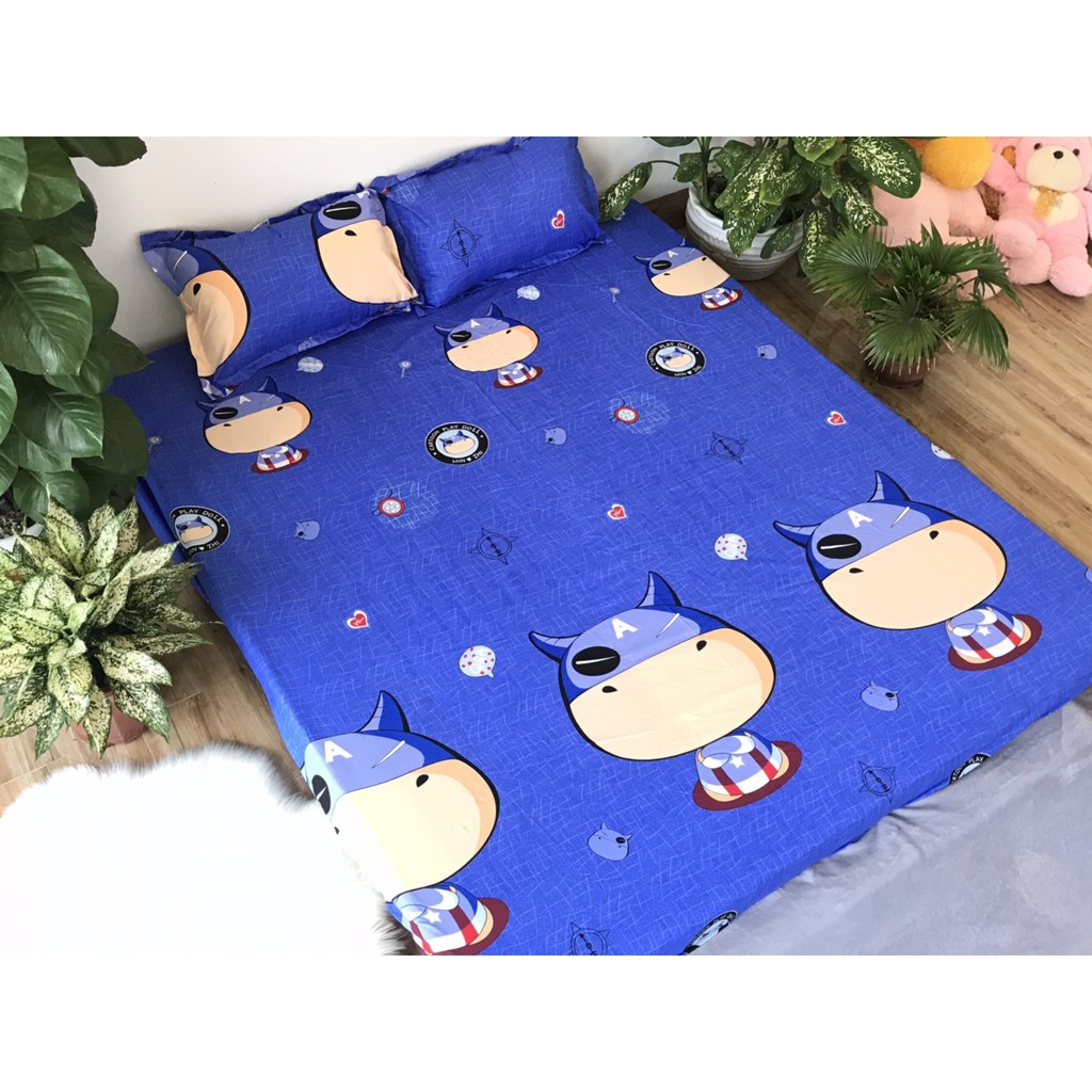 Bộ ga gối poly cotton Emmidecor (Được chọn mẫu)