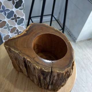 Chậu cây bằng gỗ lũa kiểu dáng decor độc đáo