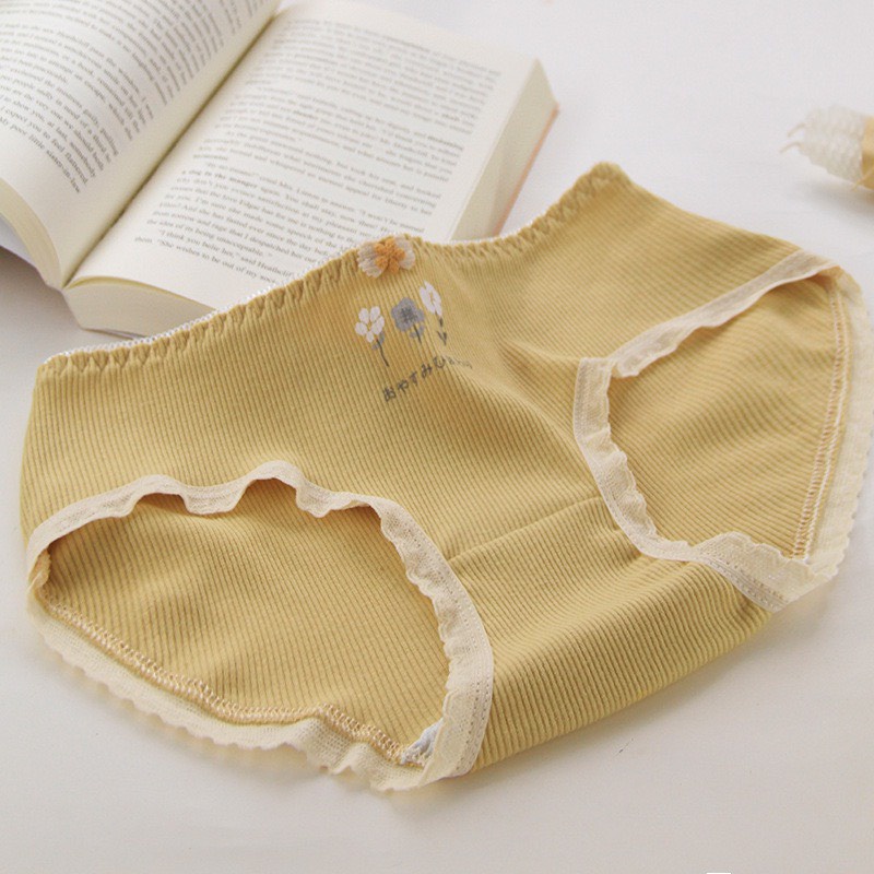 Quần Lót Cotton - Quần Lót Nữ Cotton thiết kế gân tăm cao cấp thoáng mát DAN STORE MÃ 1315