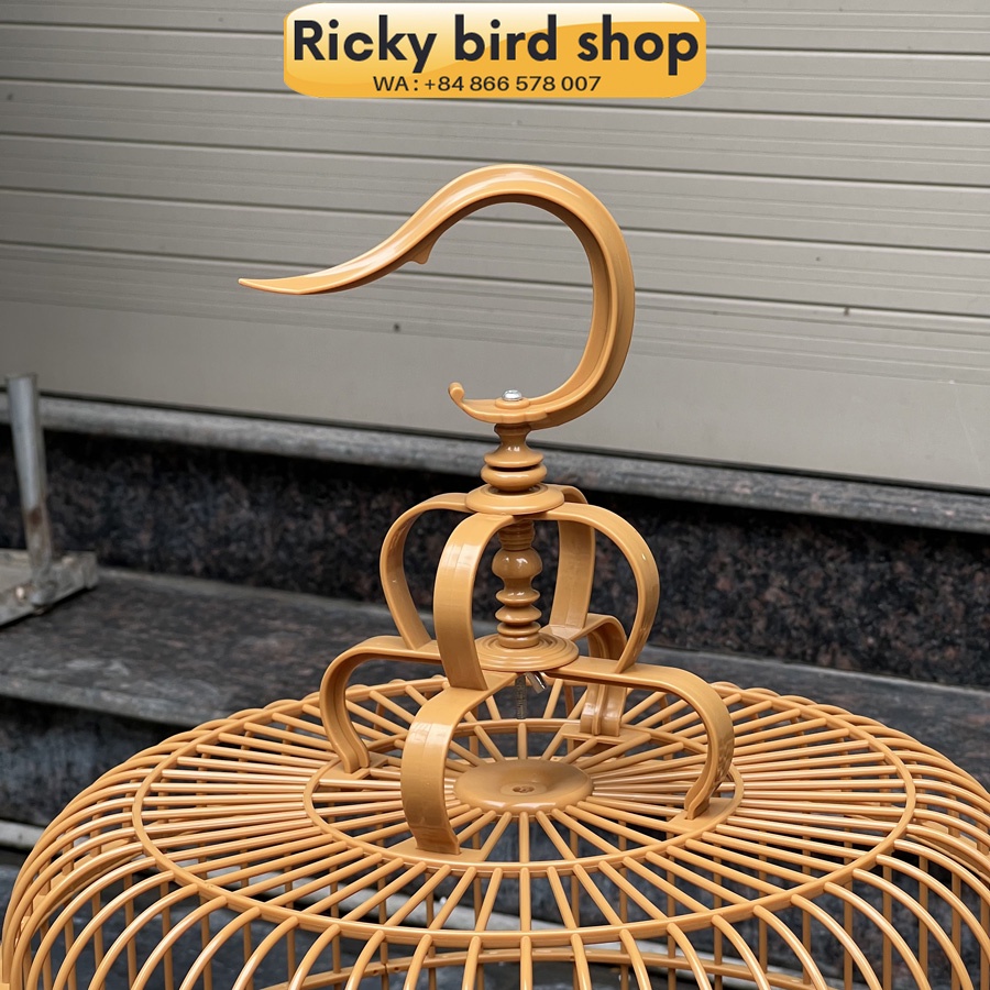 Hwamei, magpie bird cage (Ricky bird shop)