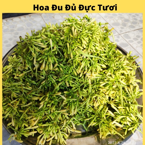 Hoa Đu Đủ Đực Tươi 100% Sạch - Dùng Chưng Cất Siro Hoặc Ngâm Mật Ong, Rất Tốt.