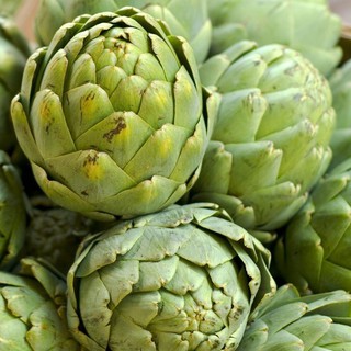 Hạt giống atiso bông xanh gói nhỏ