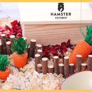 Cà rốt mài răng và trang trí chuồng cho Hamster