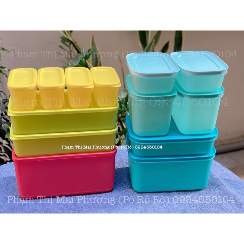 Hàng Có Sẵn Bộ 6 Hộp Trữ Đông Freezermate Tupperware Thế Hệ II Nhựa Nguyên Sinh An Toàn Tuyệt Đối