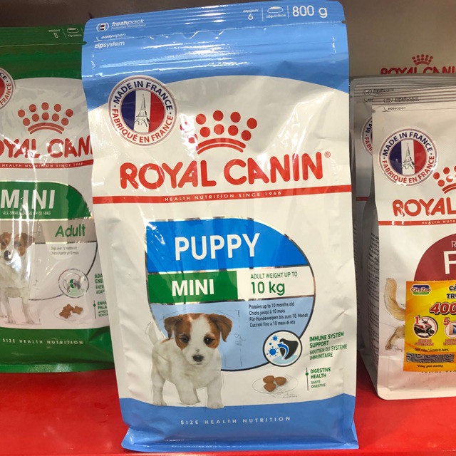 800gr -Thức ăn cho chó ROYAL CANIN MINI Puppy