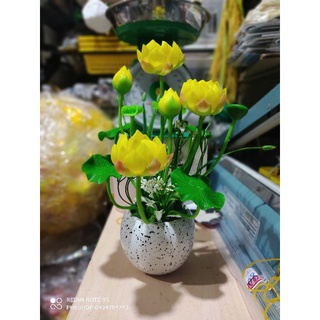 Chậu Sen đất sét ~30cm thành phẩm luôn chậu