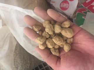 Đất nung Nhật Bản- Ryusen Akadama