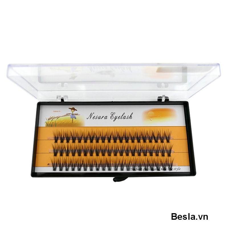 🌈Lông mi giả chùm Katun Nesura Hàn Quốc  Katun/10D/0.07/C, mi giả tự nối độ dày 0.07, độ dài 8-12mm