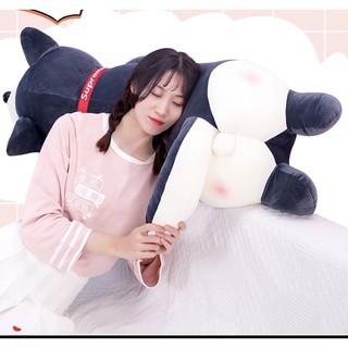 Chó Rangdoll Bông,Chó Husky Ôm Dài