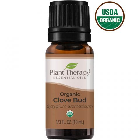 Tinh dầu đinh hương hữu cơ (Clove Bud) Plant Therapy 10ml