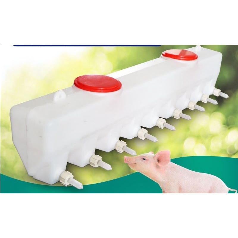 BÌNH BÚ CHO HEO / CHÓ /DÊ...