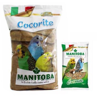 1kg Hạt trộn cho yến phụng 🇮🇹🇮🇹🇮🇹