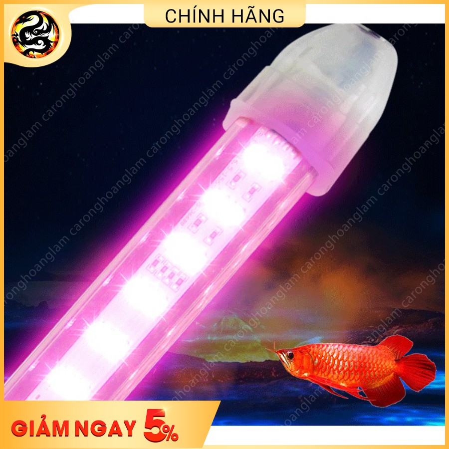 Đèn LED XUANMEILONG 2 Hàng Bóng PHIÊN BẢN THỦY TINH LIMITED CHUYÊN DỤNG CHO CÁ RỒNG