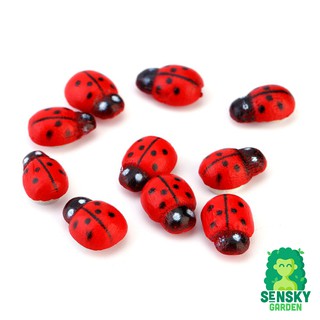 COMBO 5 BỌ RÙA TRANG TRÍ CÂY