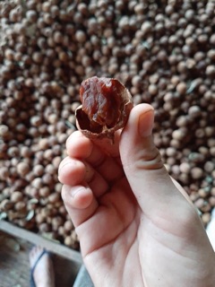 Vải sấy khô