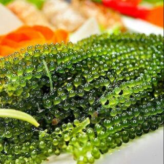 RONG NHO 200GR