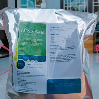 Cám Thái inve 5/8 50g