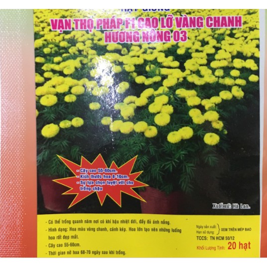 Hạt Hoa VẠN THỌ cao lỡ màu vàng chanh - Gói 20 hạt