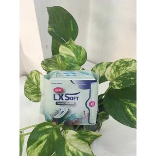 Băng vệ sinh LX soft hàng ngày 20mieng