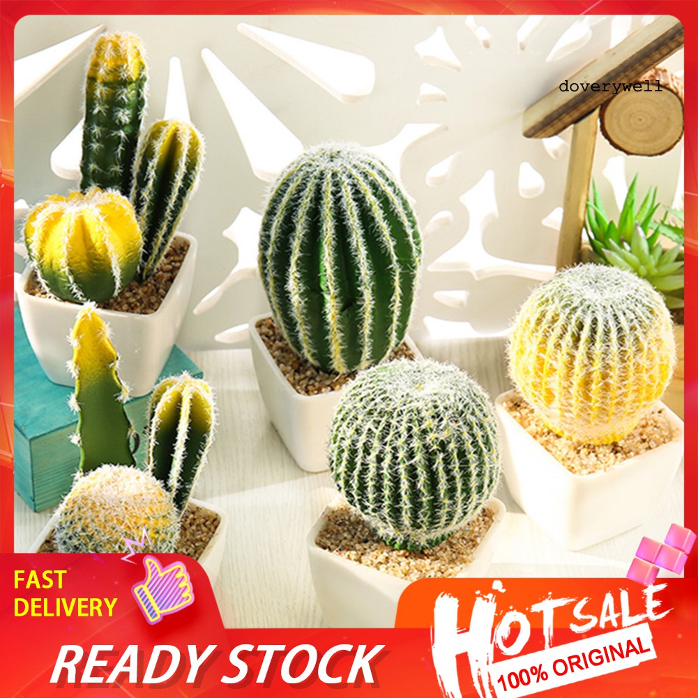 Cây xương rồng giả trang trí mini