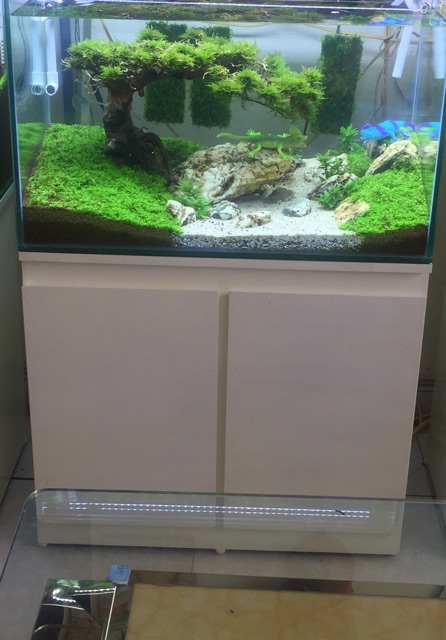 Bể cá Cây bonsai suối nước