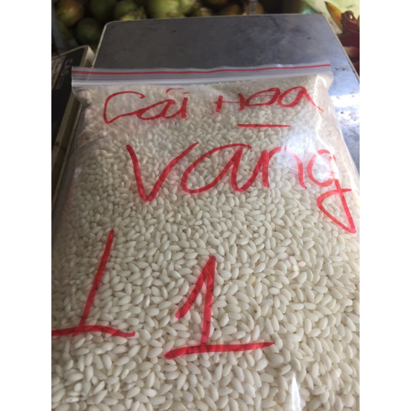 1kg Nếp cái hoa vàng