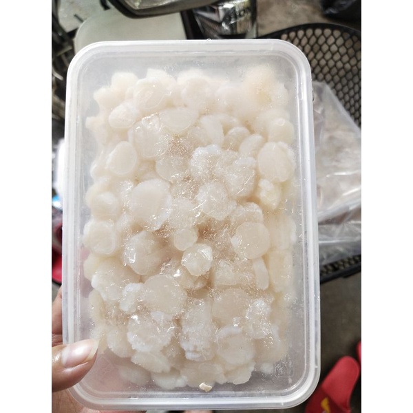 Cồi sò điệp tươi  đóng  hộp 500g