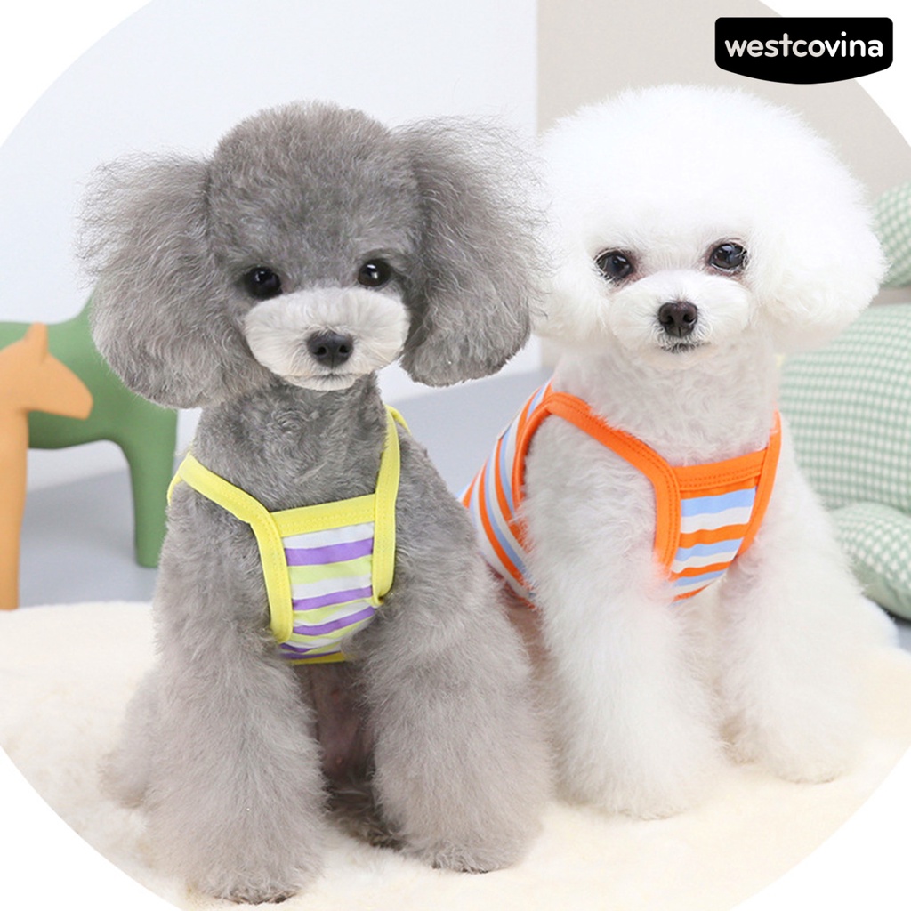 [Mới]♞Áo Thun Sọc Ngang Cho Thú Cưng