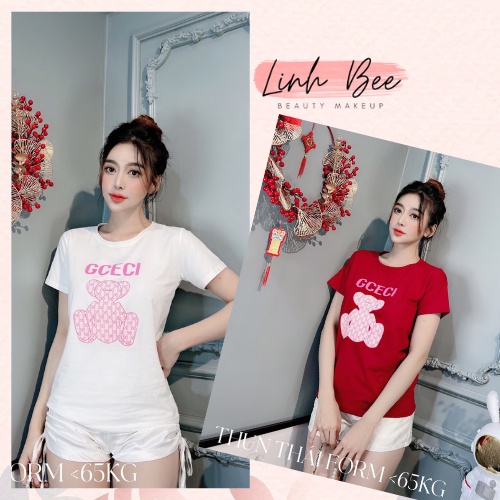 Áo thun nữ thái form vừa người chất thái mát mịn form áo y hình chụp