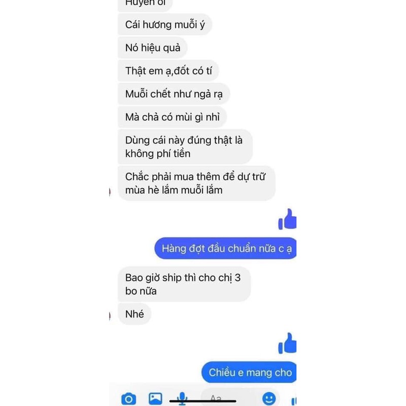 Nhang diệt muỗi Mạnh Hiền