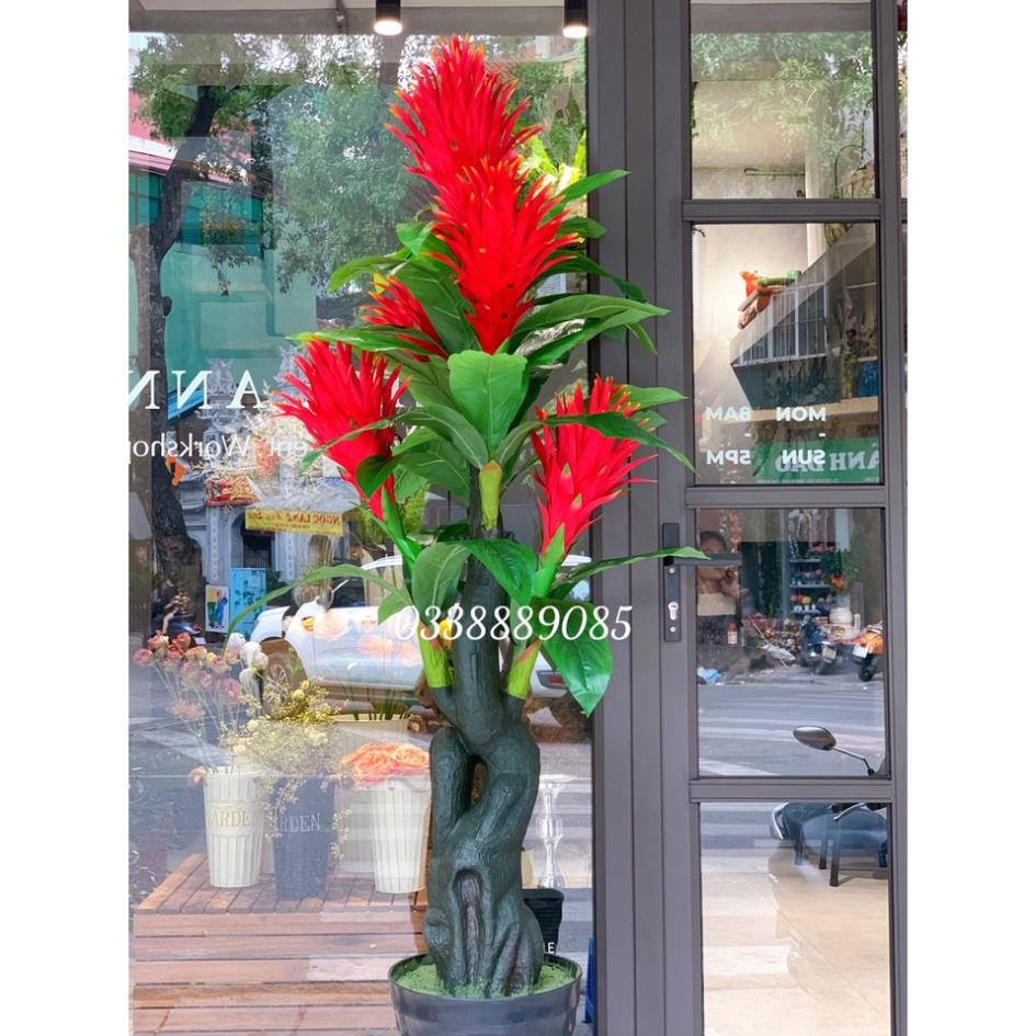 Cây giả - Cây lan đuốc (hoa thanh long) 5 quả đỏ tròn trang trí hút tài lộc
