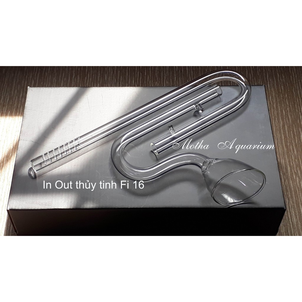 IN OUT THỦY TNH FI16