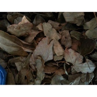 Dâm Dương Hoắc Khô 500g