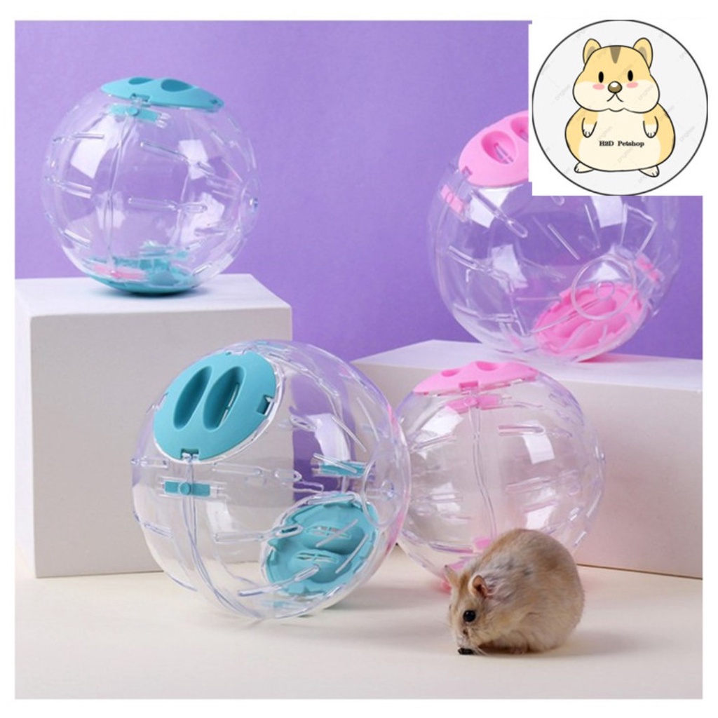 Bóng chạy mika hamster