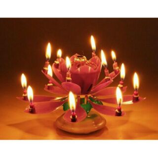 Nến sinh nhật nở hoa phát nhạc