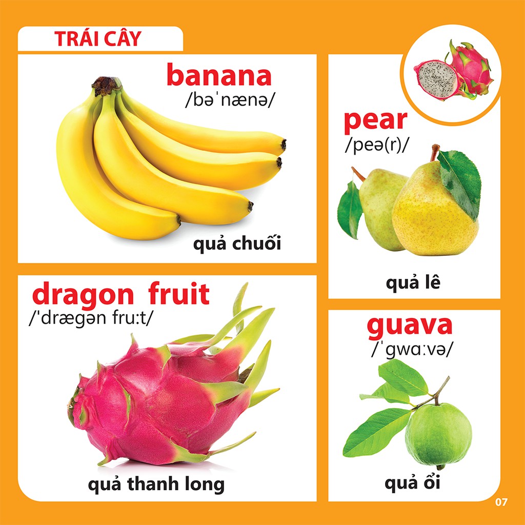 Sách - Bách khoa toàn thư cho bé - Rau-củ-quả (Tái bản 2019) | BigBuy360 - bigbuy360.vn